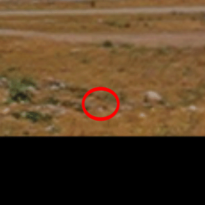 UFO-video uit Chili bewijst ’t: ze hebben zes pootjes 3